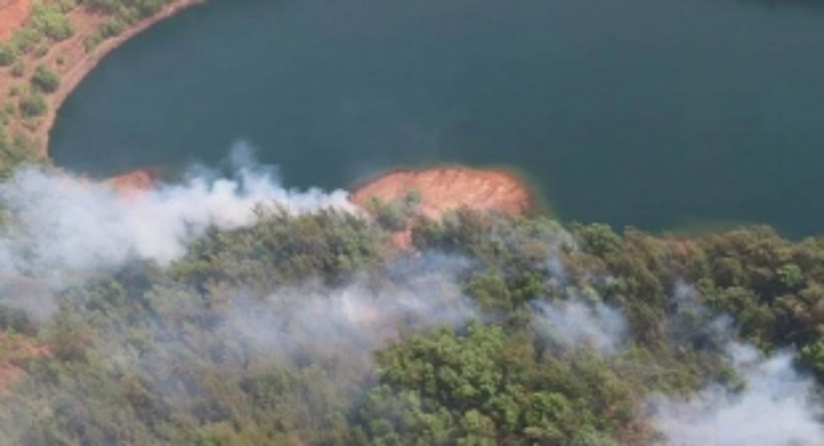 Is the Mhadei sanctuary fire  a conspiracy to finish the  river diversion battle?