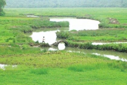 Is the amendment to Code of Comunidade meant for development or an attempt to grab land?