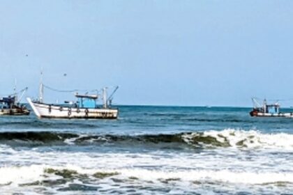 Is there no food for thought for Goan fishermen who go to sea to get us food?