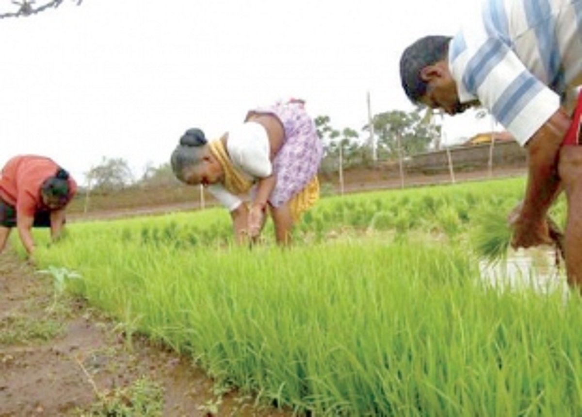 Is this land  my land?