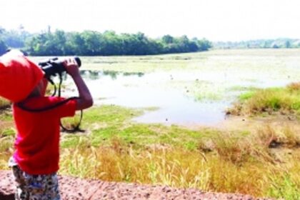 Is your village lake notified as a wetland?