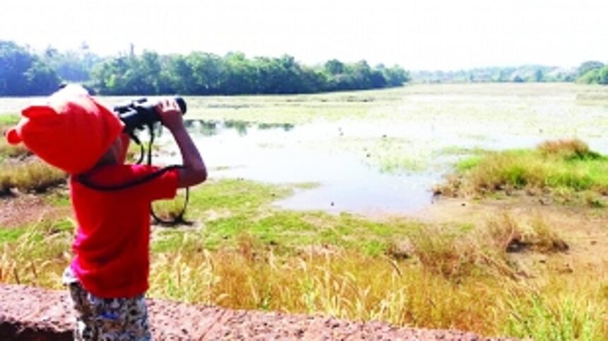 Is your village lake notified as a wetland?