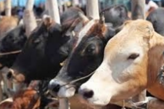 Is ‘red-tapism’ hampering  Dhyan Foundation cause?