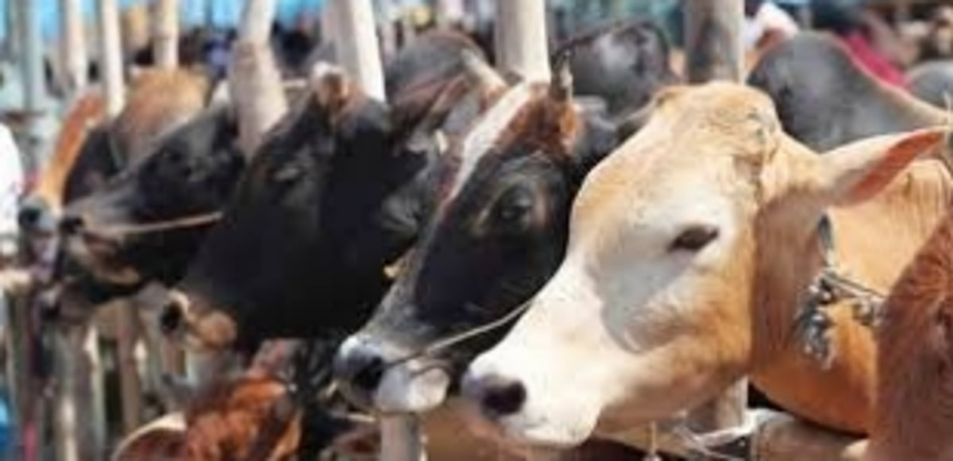 Is ‘red-tapism’ hampering Dhyan Foundation cause? 1 Is ‘red-tapism’ hampering Dhyan Foundation cause?
