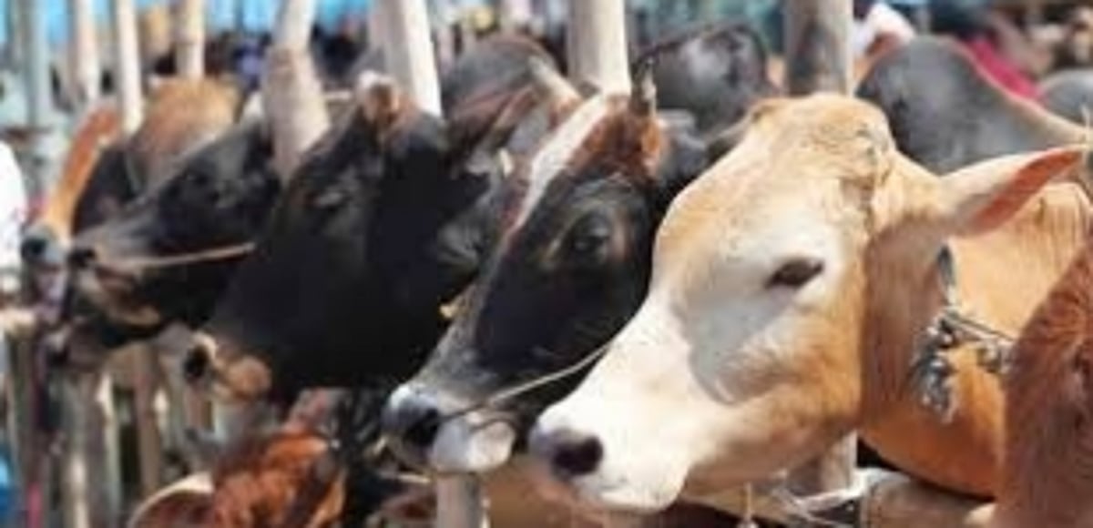 Is ‘red-tapism’ hampering  Dhyan Foundation cause?