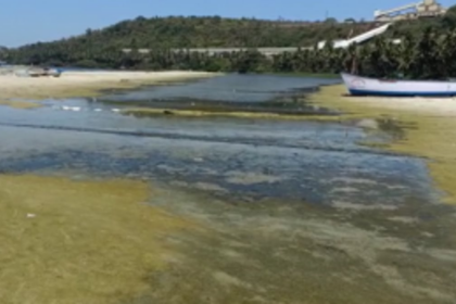 Issue of desilting Velsao pond divides villagers