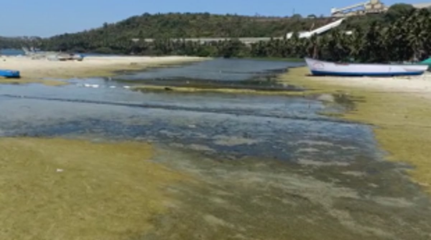 Issue of desilting Velsao pond divides villagers 1 Issue of desilting Velsao pond divides villagers