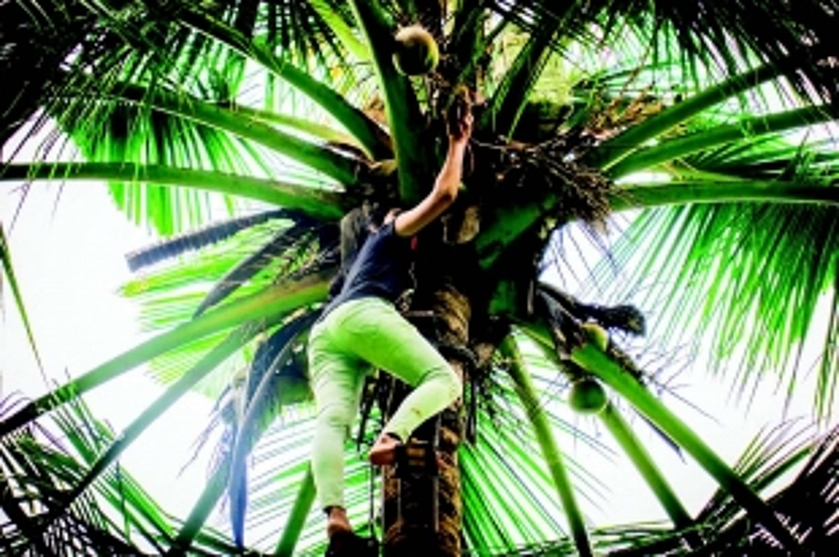 It is a layered relationship