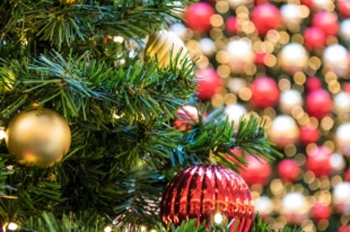 It's Christmas and a time  for hope