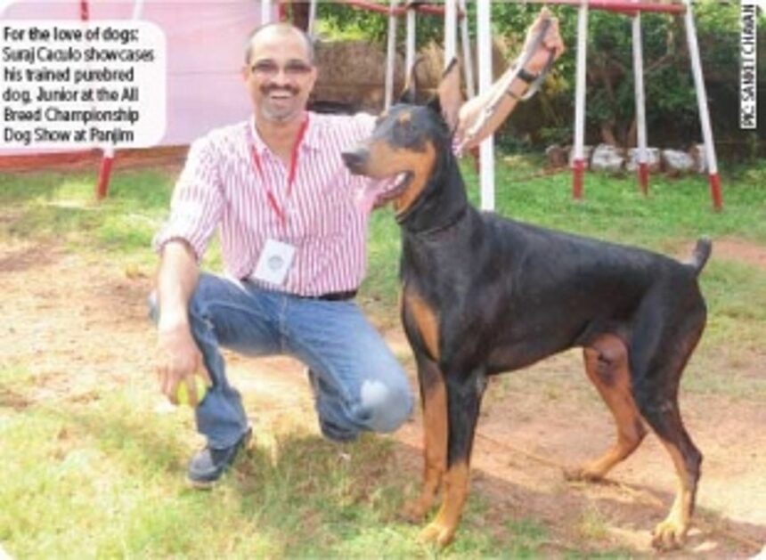 It’s a Dog’s World 1 It’s a Dog’s World