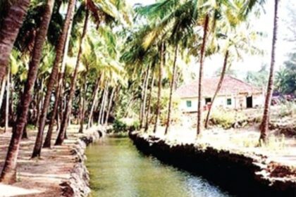 It’s a good life in Goa