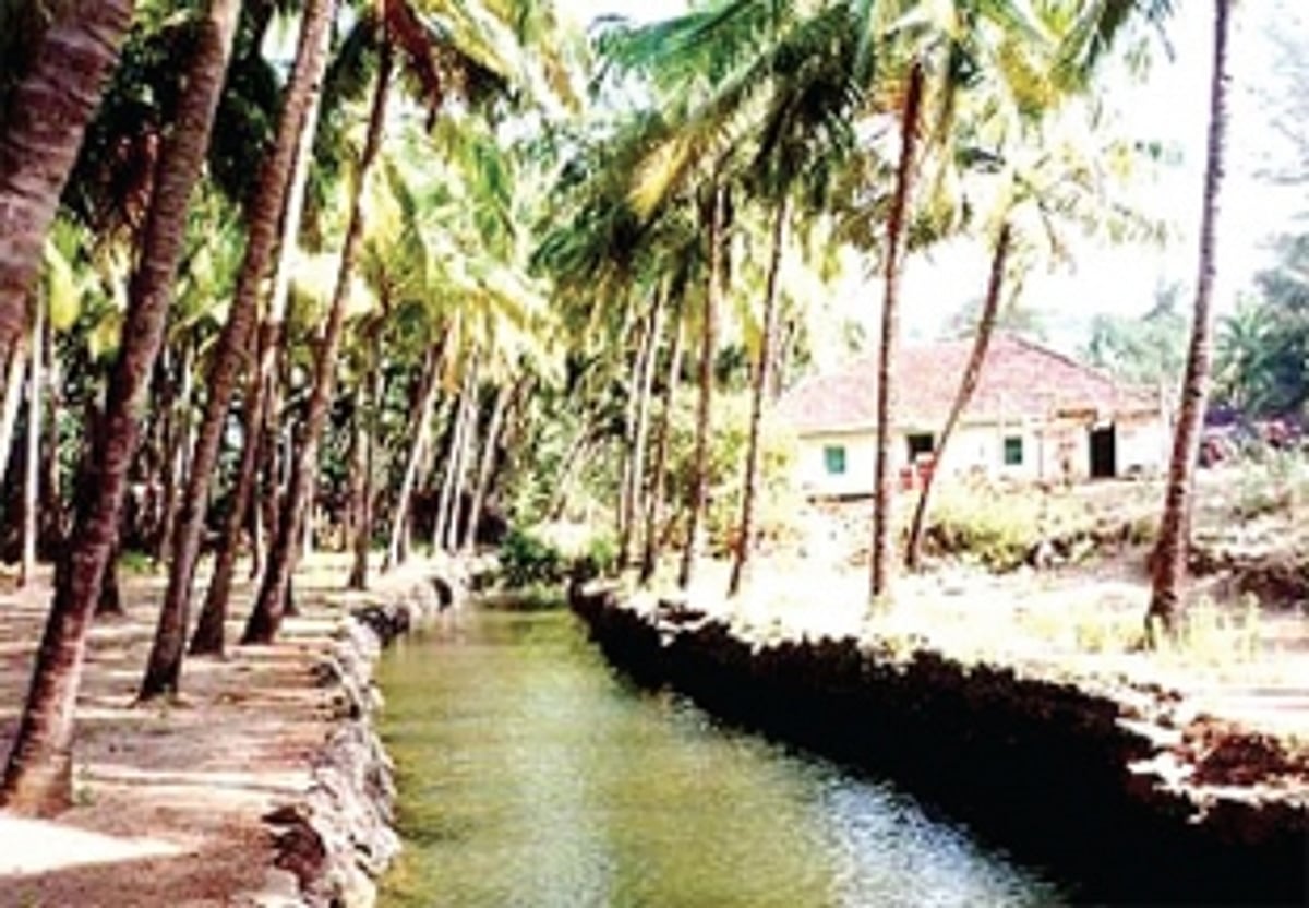 It’s a good life in Goa