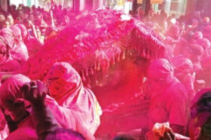 It’s a riot and Zambaulim loves it!