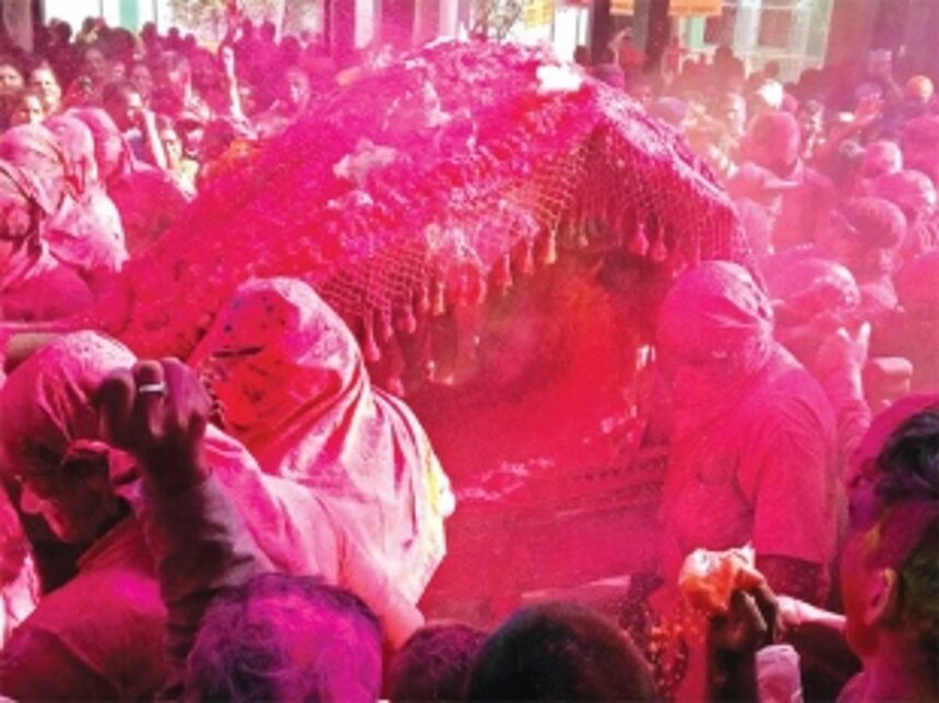 It’s a riot and Zambaulim loves it!