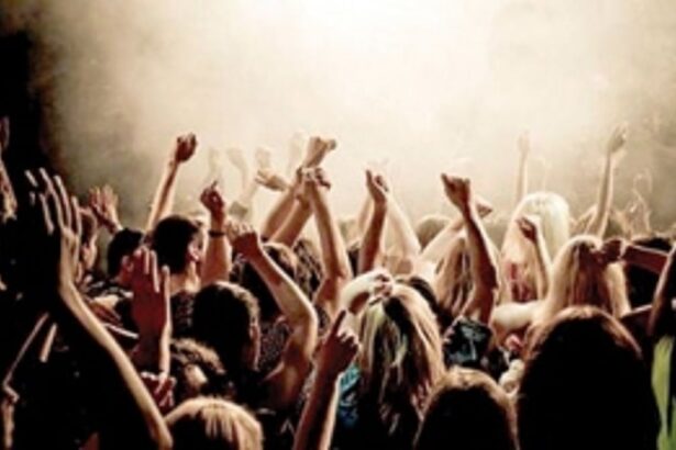 It’s no party for residents troubled by ‘excessively loud late night parties’