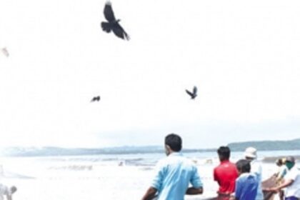 It’s official: There’s a steady decline in Goa’s fish catch