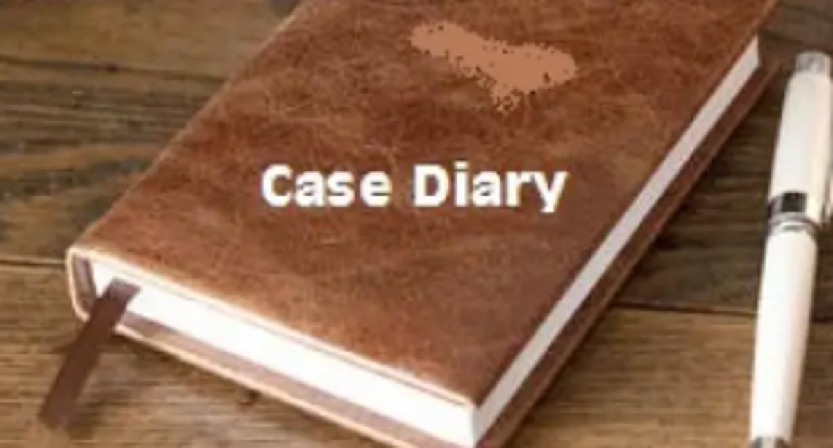 JMFC directs Anjuna police to produce case diary on assault at Vagator nightclub