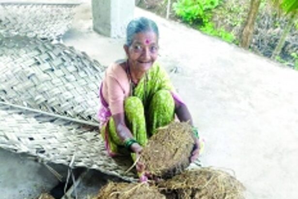 Jaanki Naik’s proud, eco-friendly legacy: 60 years spent shaping cow dung cakes