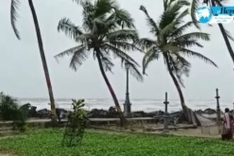 Jaipur tourist electrocuted at Colva beach, but live wire not removed even 24 hours later