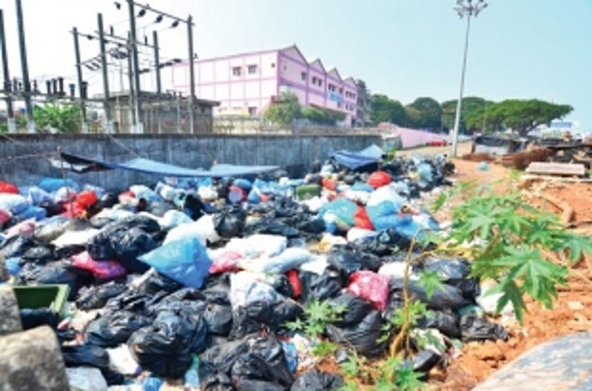 Jets run risk of bird-hits from garbage near airport