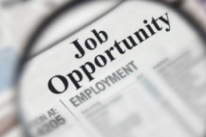 Job bonanza speeds up election engine