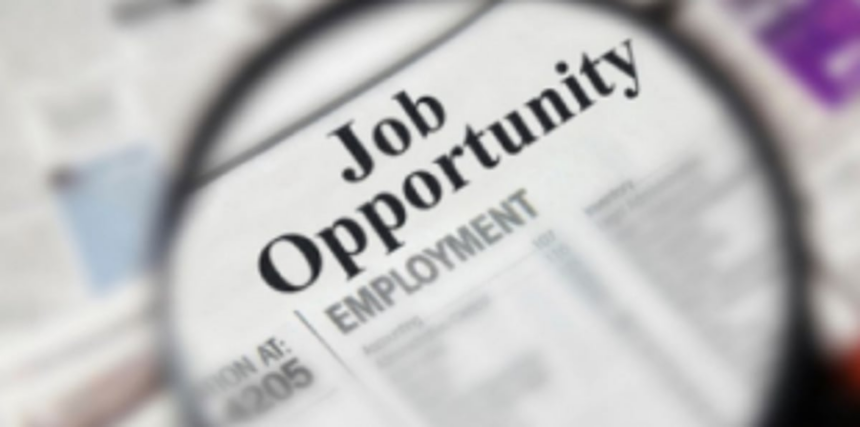 Job bonanza speeds up election engine