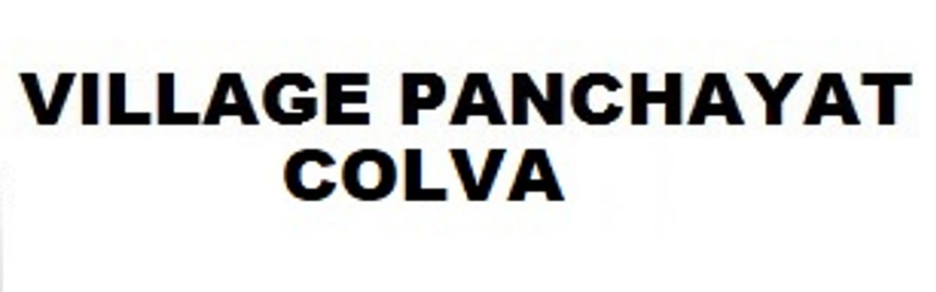 Johnson elected as Colva sarpanch