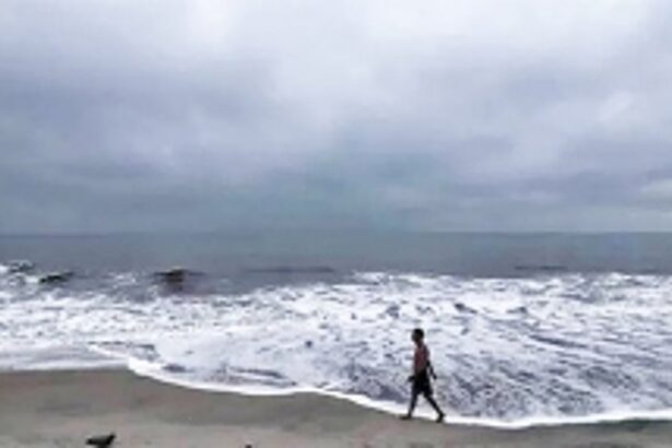 Joint Indo-China study traces history of weakening monsoon back to 12 million years