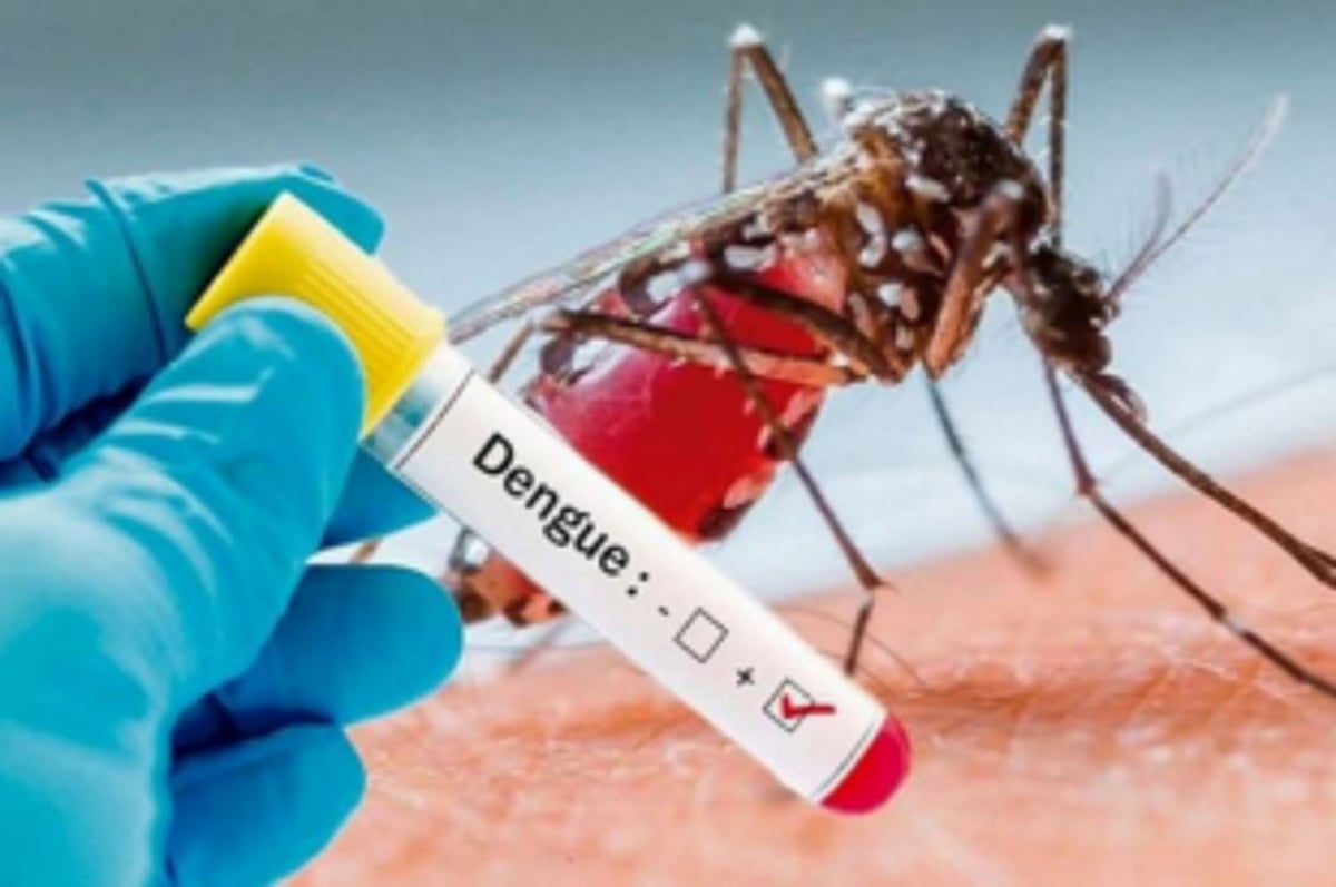 July sees a sharp rise in dengue cases