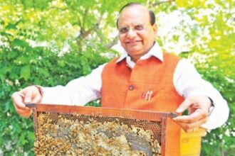 KVIC has plans to set up honey clusters in Goa: Saxena
