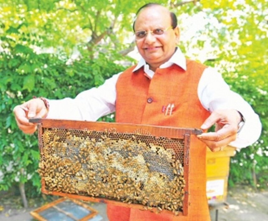 KVIC has plans to set up honey clusters in Goa: Saxena