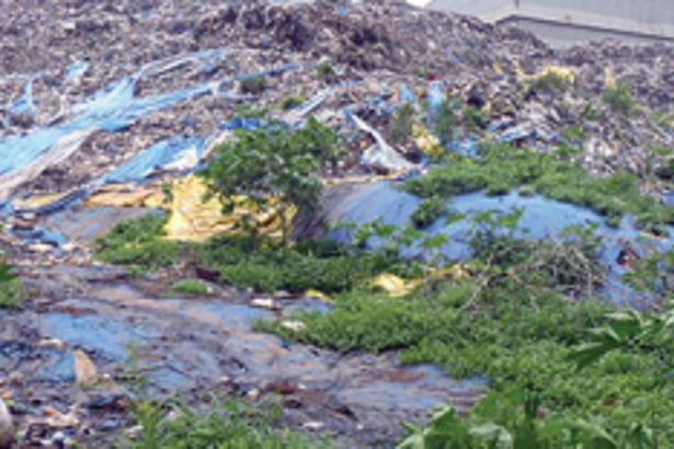 Kansa Projects proposes to handle State’s solid waste