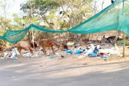 Karaswada-Cunchelim petrol pump  junction area turns into a garbage hotspot
