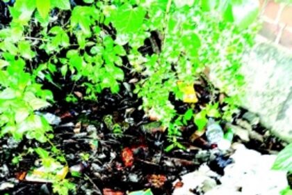 Karmale locals demand action against miscreants causing nuisance in village