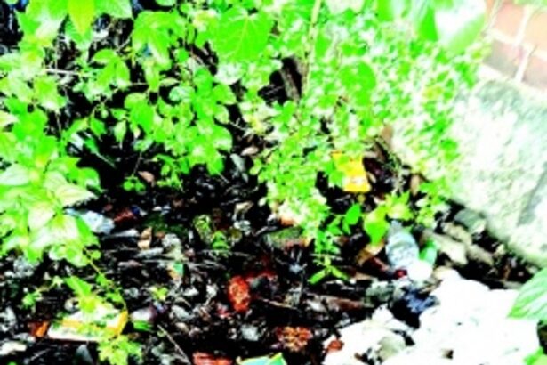 Karmale locals demand action against miscreants causing nuisance in village