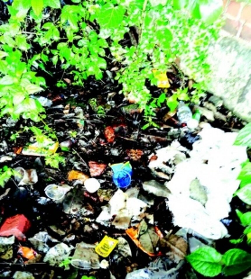 Karmale locals demand action against miscreants causing nuisance in village