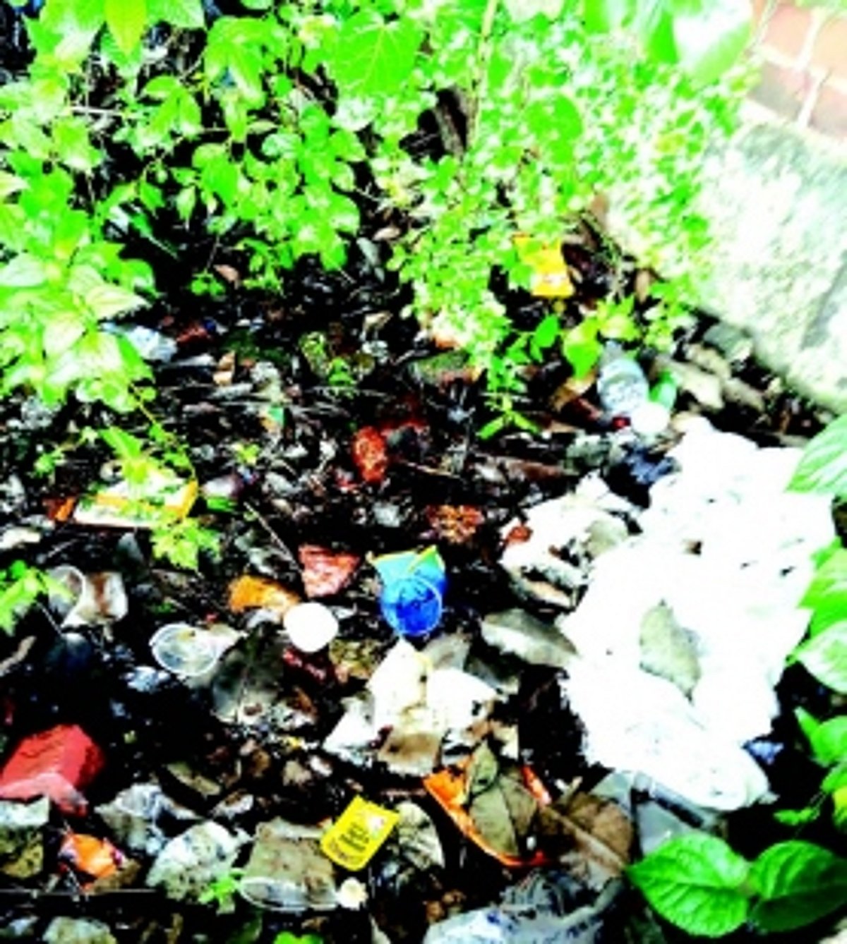 Karmale locals demand action against miscreants causing nuisance in village