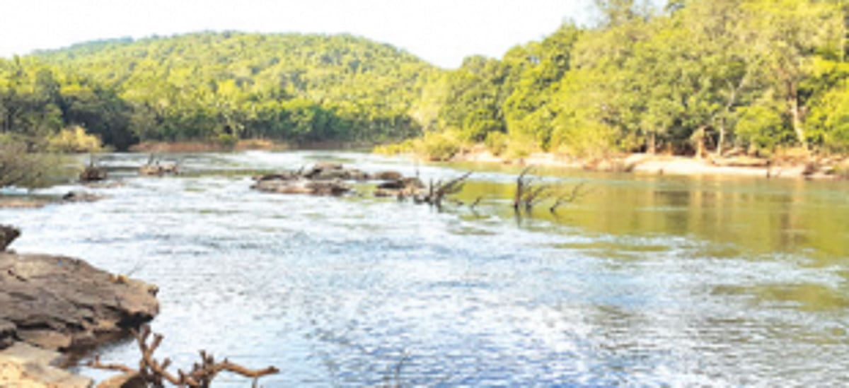 Karnataka objects to Goa’s request for joint inspection of Kalasa, Bhandura projects