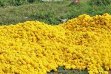 Karnataka vendors stopped from selling flowers in Mapusa