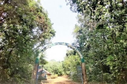 Karnataka's deadly import to Goa: Drugs & disaster