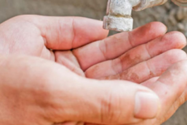 Karpal farmers complain of no water supply, crop damage