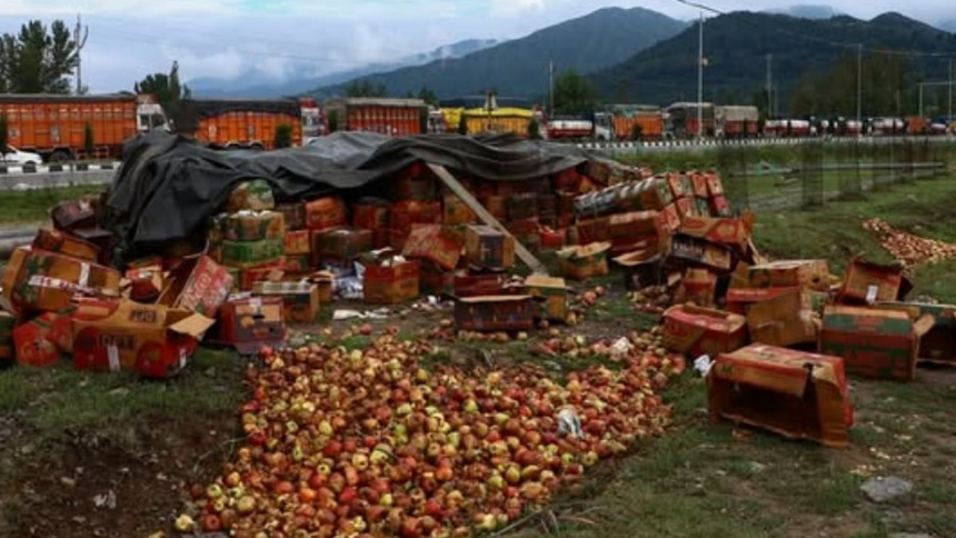 Kashmir Apple Farmers Suffer Heavy Losses as Trucks Rot on Blocked Srinagar-Jammu Highway 1 Kashmir Apple Farmers Suffer Heavy Losses as Trucks Rot on Blocked Srinagar-Jammu Highway