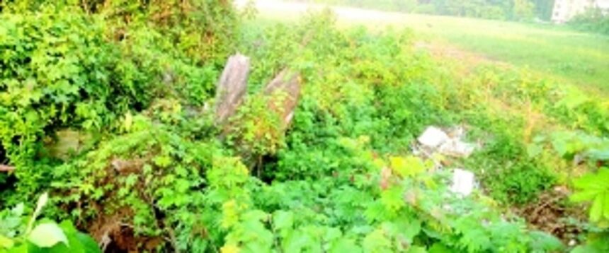 Kavlem farmers in distress as bund portion on verge of collapse