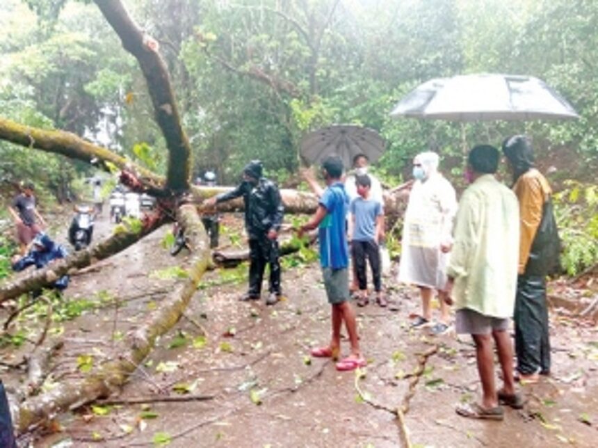 Kavlem sarpanch, villagers take up job of clearing uprooted trees on roads, houses