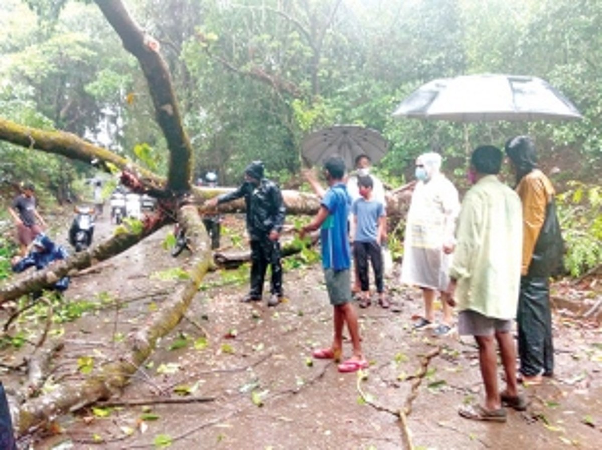 Kavlem sarpanch, villagers take up job of  clearing uprooted trees on roads, houses