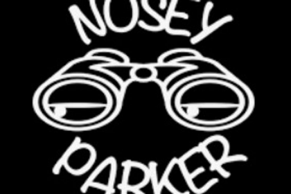 Keep from nosy parkers when in public places