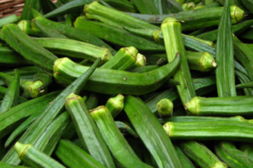 Kelavade farmers say Rs 35 per kg  for lady fingers is unreasonable