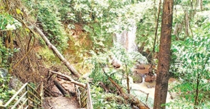 Kesarval Spring on verge of extinction!