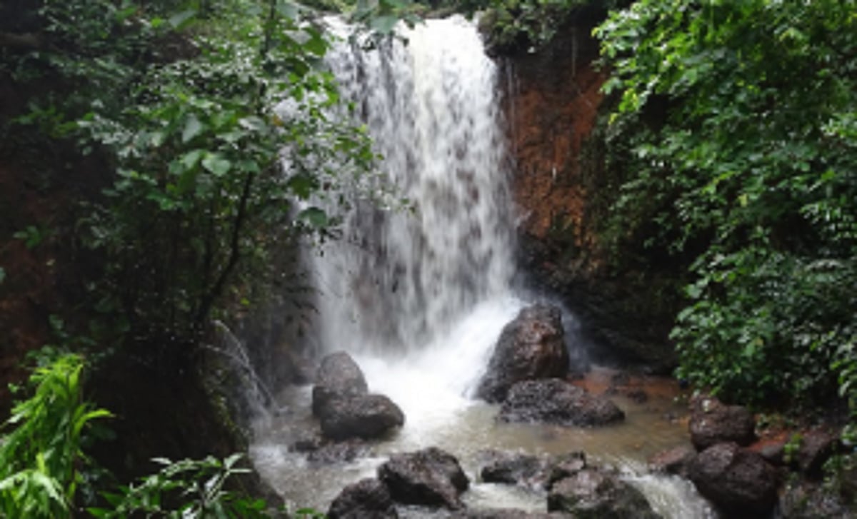 Kesarval natural spring restoration work starts