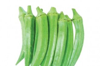 Kevadem farmers sell 17 tonnes  of lady fingers to Horti Corp